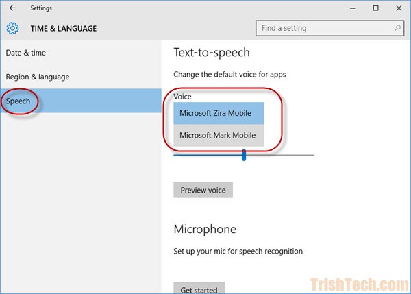 Microsoft Text Speech Voice S